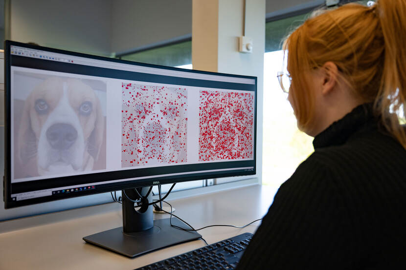 Onderzoekster kijkt naar afbeelding van een hond met daarnaast dezelfde afbeelding van de hond maar dan met rode puntjes.