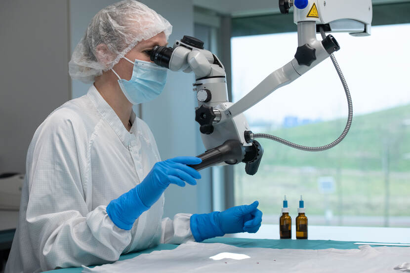 Onderzoekster in een witte jas en met een haarnetje en handschoenen aan kijkt door een grote microscoop.