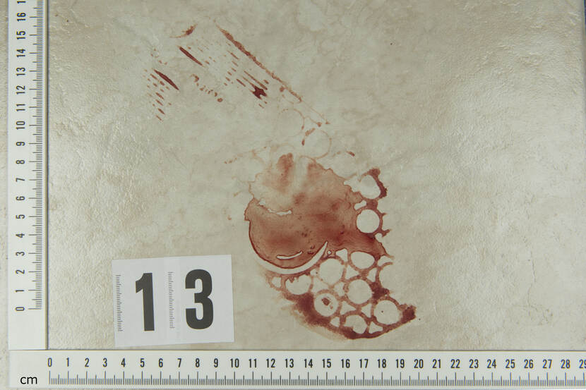 Afdruk van een schoenzool in bloed