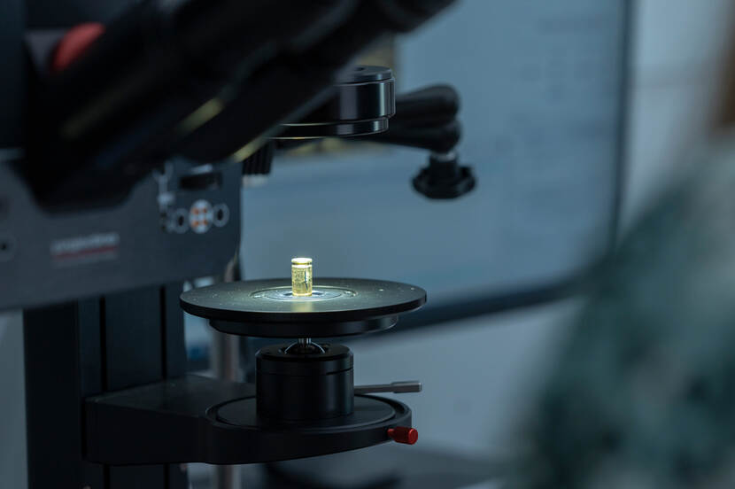 Geelkleurige huls licht op onder de lampen van de vergelijkingsmicroscoop.